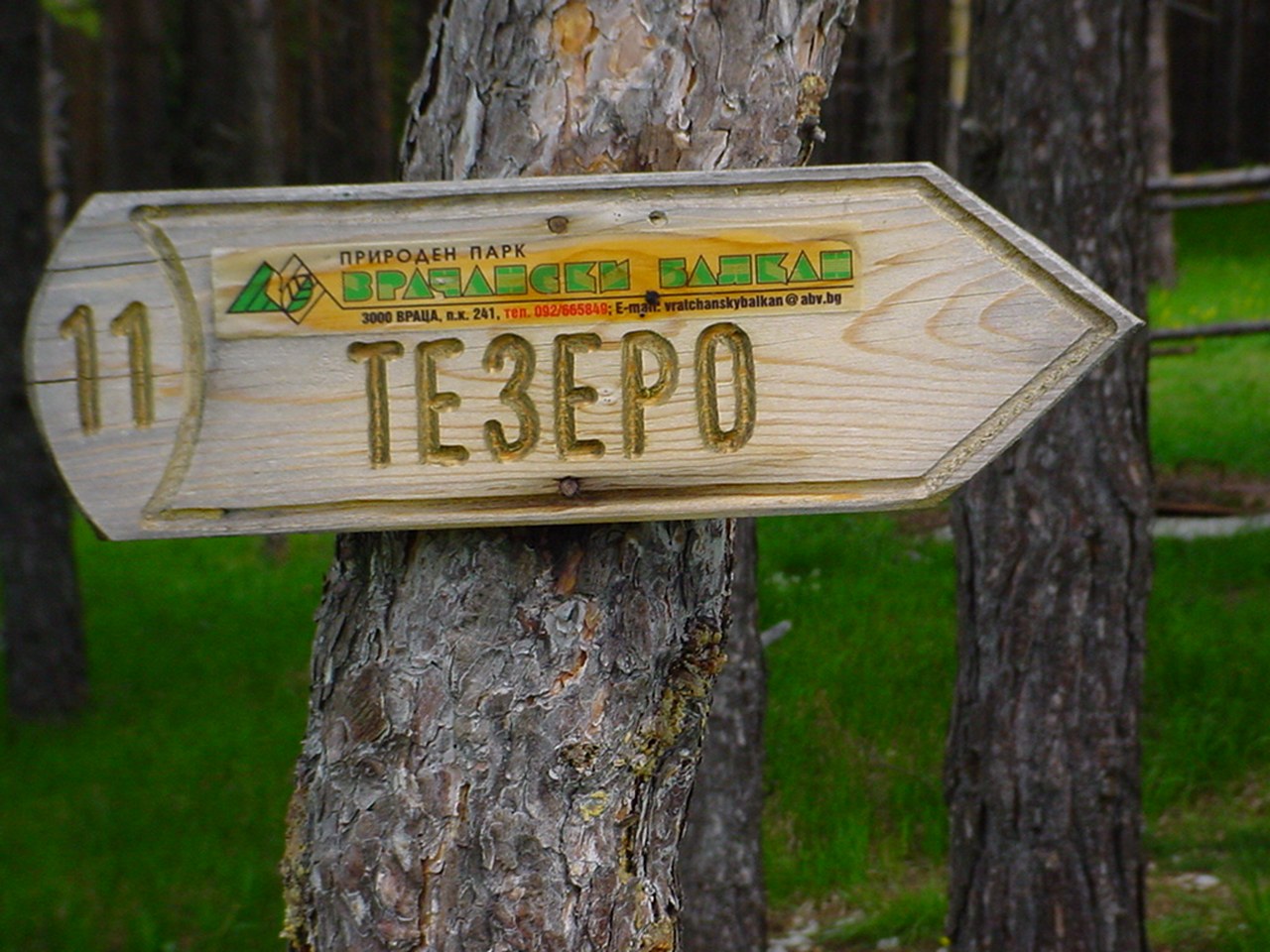 il "sentiero Tesero" o "sentiero della fratellanza Stava-Sgorigrad"