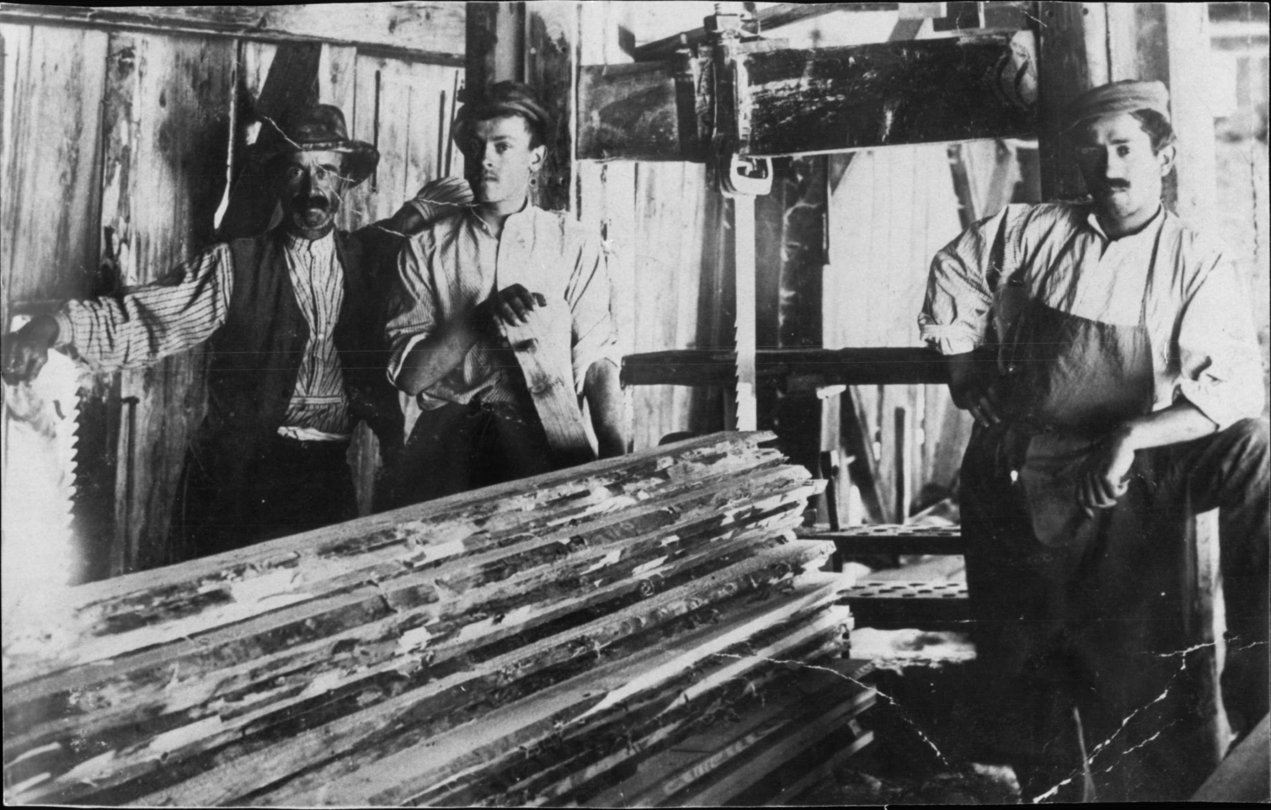 Segantini al lavoro - Anni '30 del Novecento